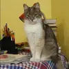 Отзыв от Любовь Трофимова